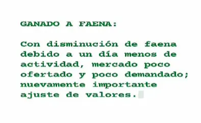 WhatsApp Image 2023-07-04 at 09.28.28 (1)