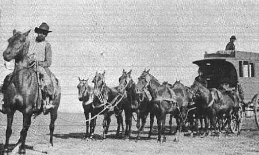 Diligencia con su Cuarteador