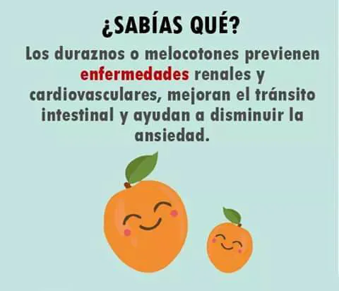 361660070_203452686002074_4343101427150418071_n