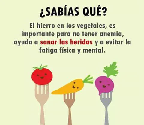 362243372_203452692668740_3014836776516258861_n