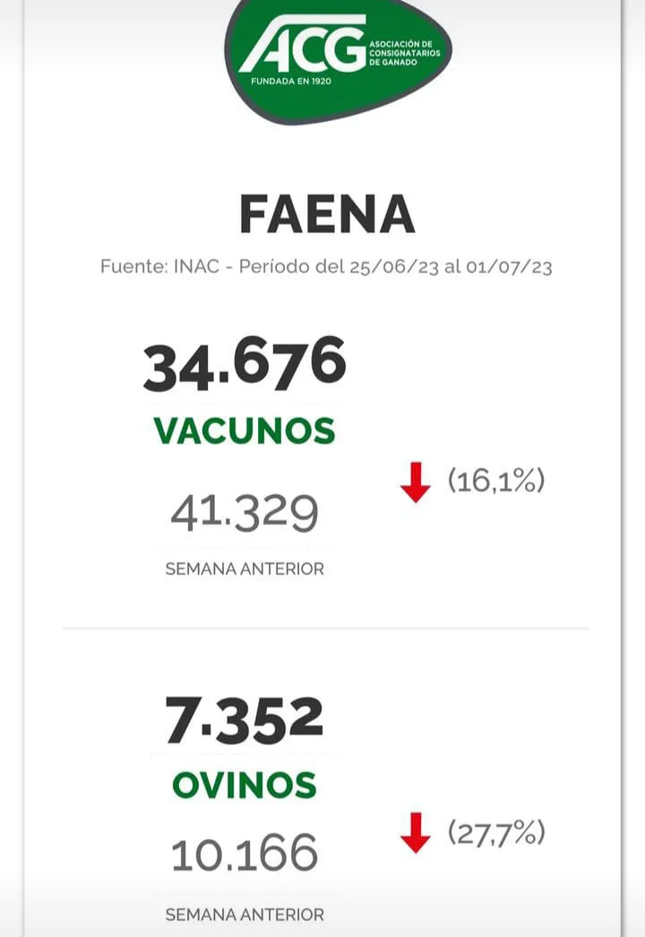 WhatsApp Image 2023-07-04 at 09.28.30 (1)