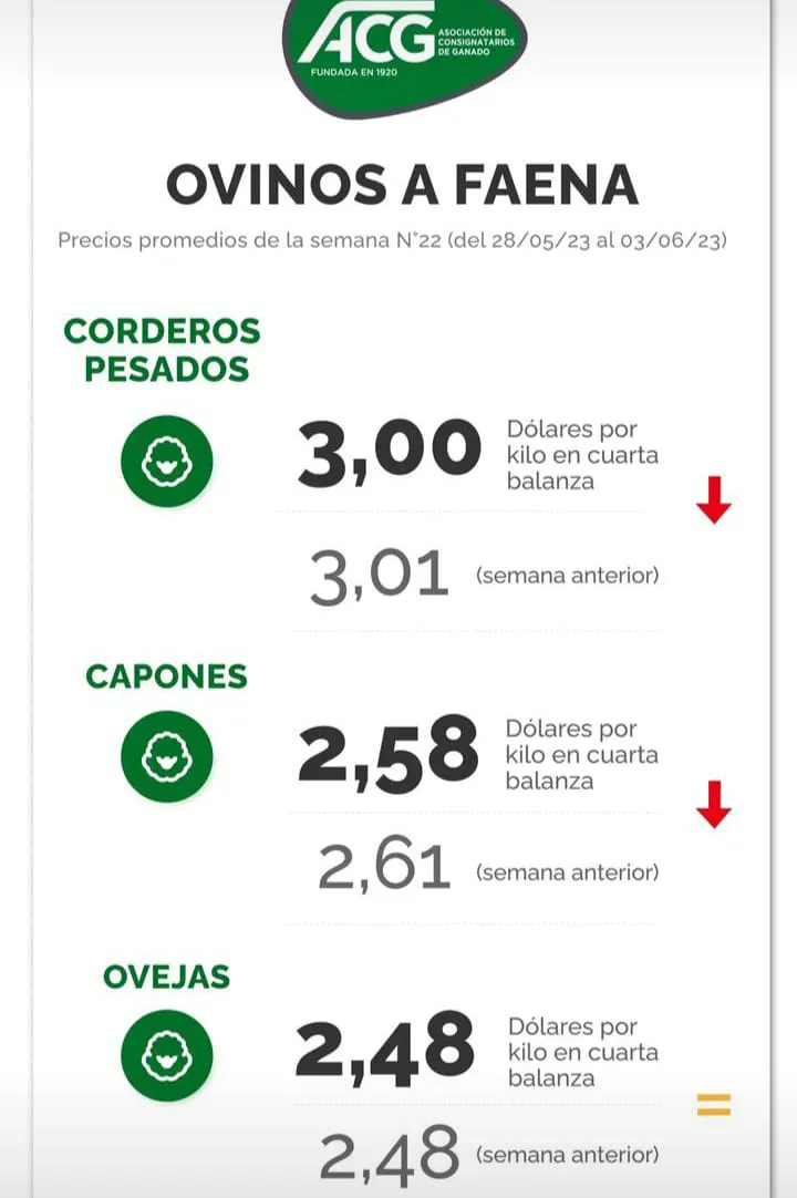 WhatsApp Image 2023-06-06 at 17.14.00 (1)