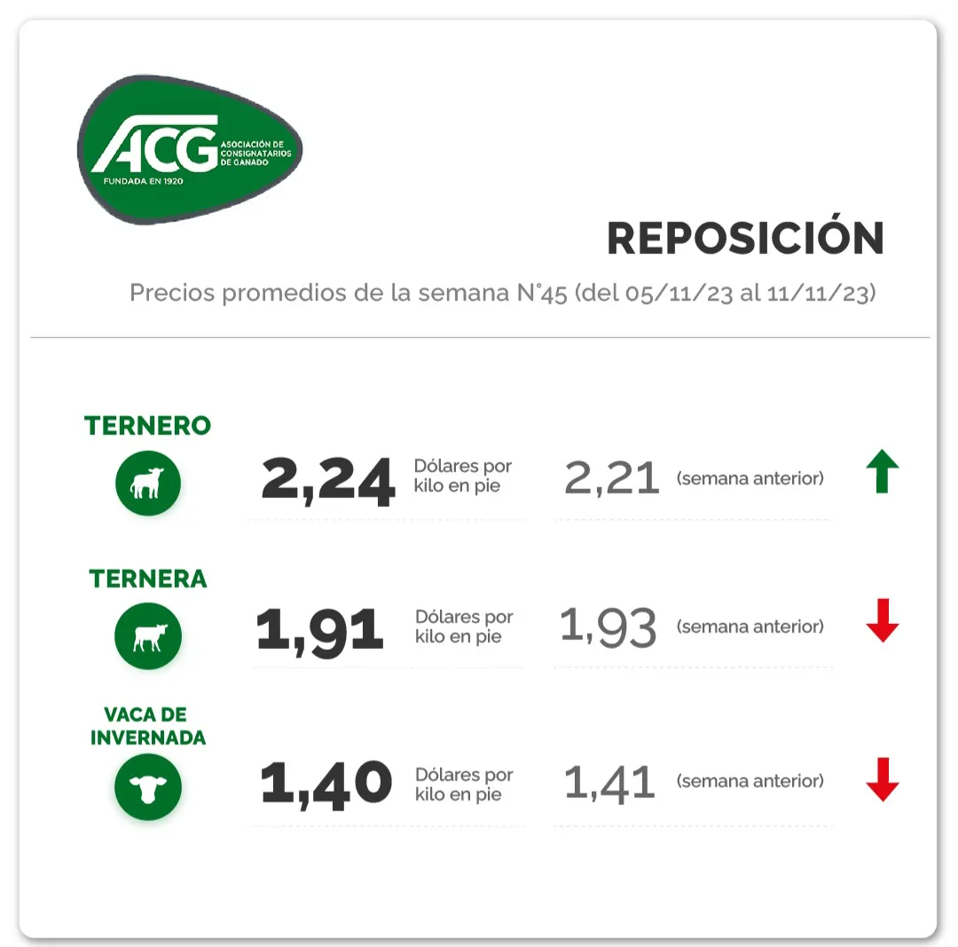 Screenshot_20231113_230746_Instagram