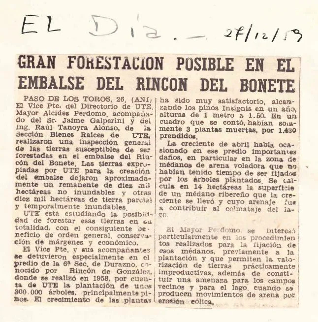 Forestacion en Rincon de Gonzalez 1959 2