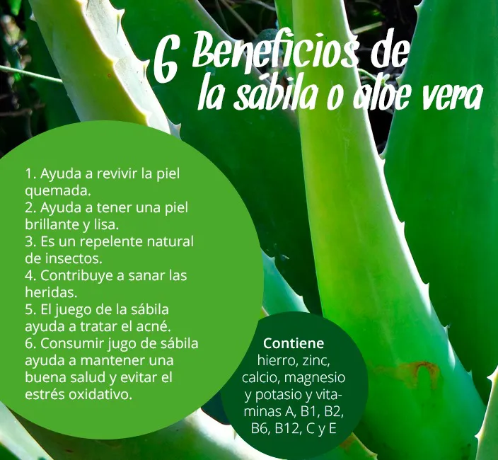 355701491_188472604166749_6405847724657997021_n