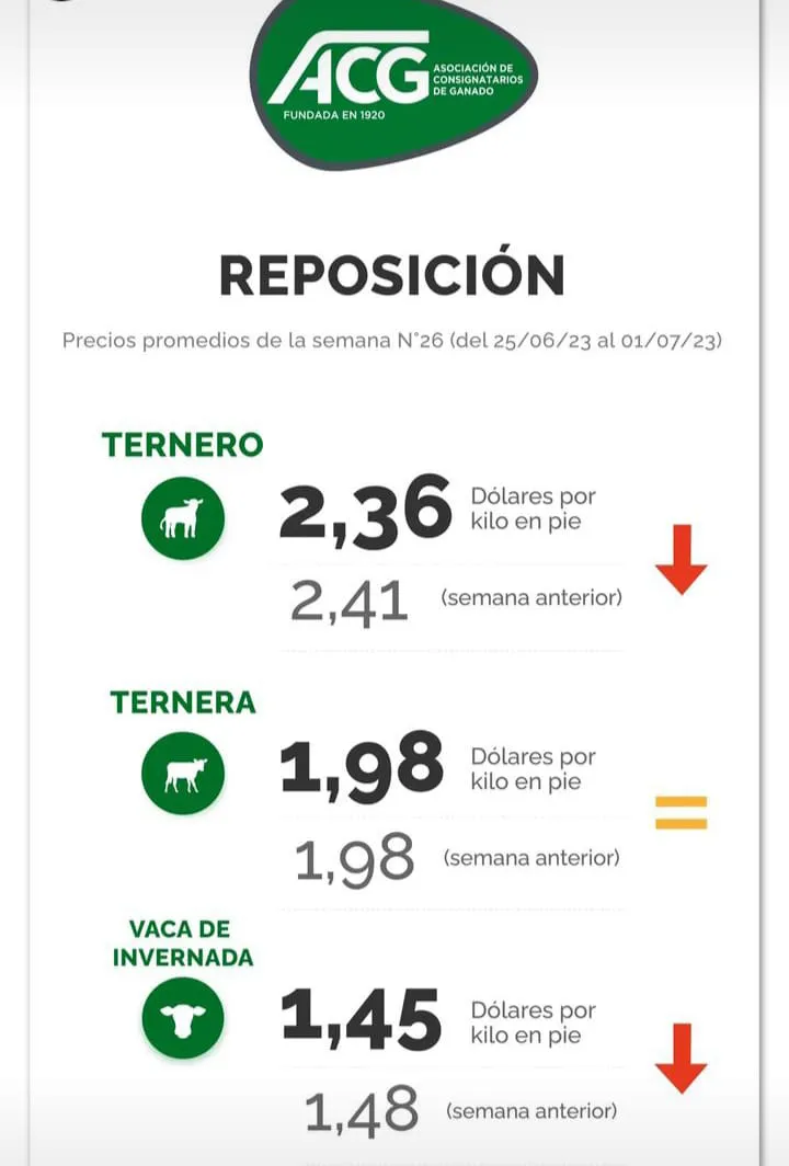 WhatsApp Image 2023-07-04 at 09.28.29 (1)