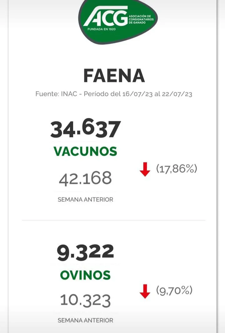 WhatsApp Image 2023-07-24 at 22.52.09 (1)