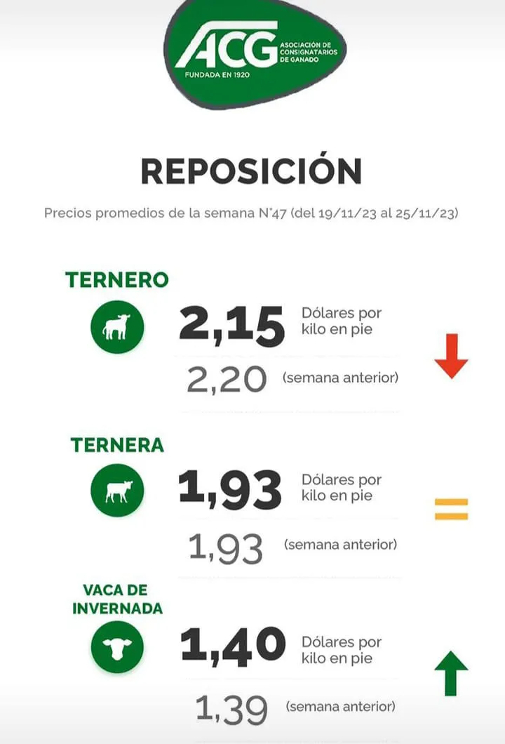 WhatsApp Image 2023-11-27 at 21.30.04