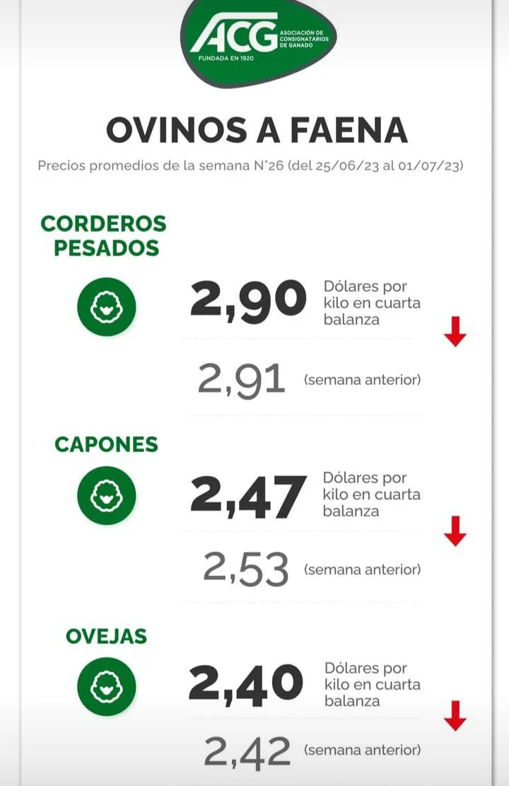 WhatsApp Image 2023-07-04 at 09.28.28 (2)