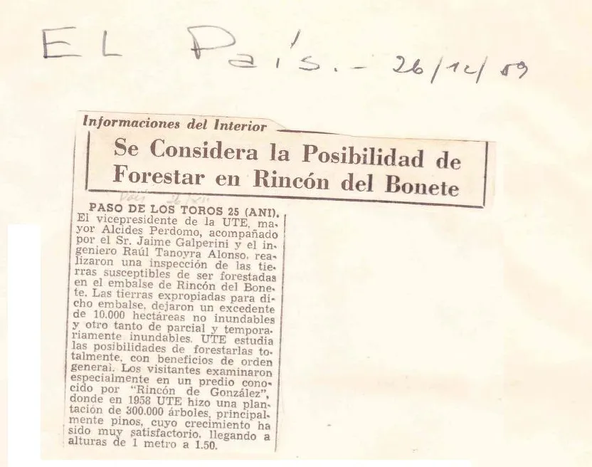 Forestacion en Rincon de Gonzalez 1959