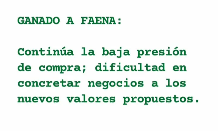 WhatsApp Image 2023-06-13 at 07.42.46 (1)