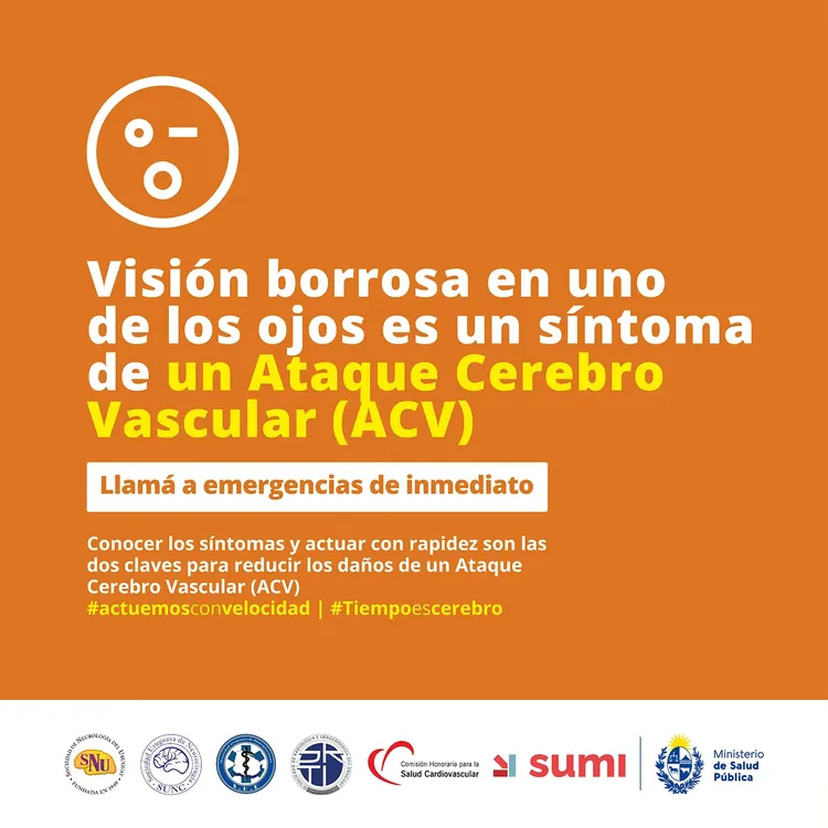 362618896_586159873688684_5411151013812726856_n