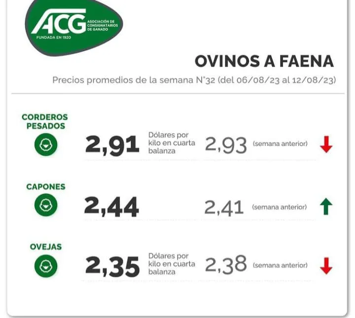 WhatsApp Image 2023-08-15 at 09.12.47