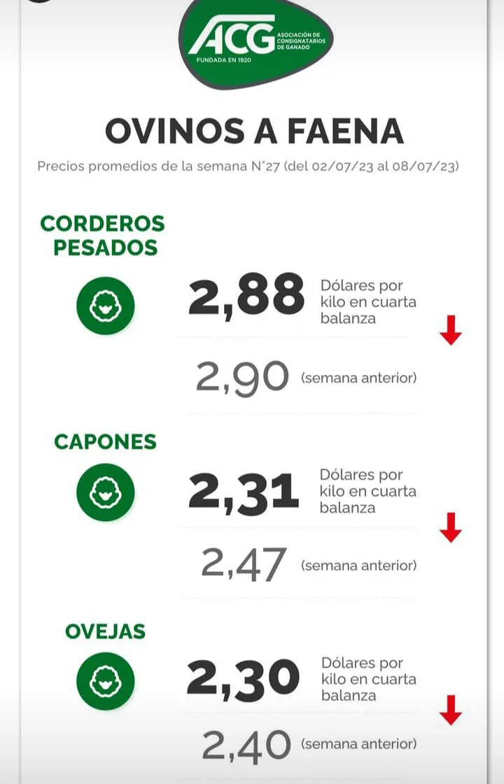 WhatsApp Image 2023-07-11 at 07.42.31 (2)