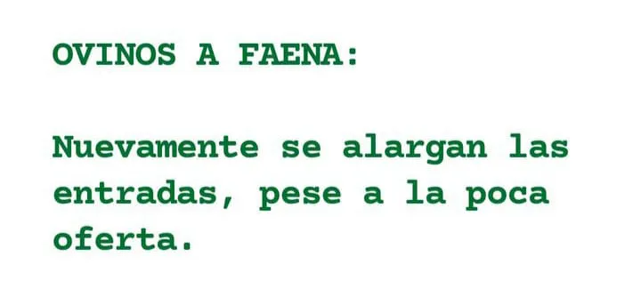 WhatsApp Image 2023-07-04 at 09.28.29