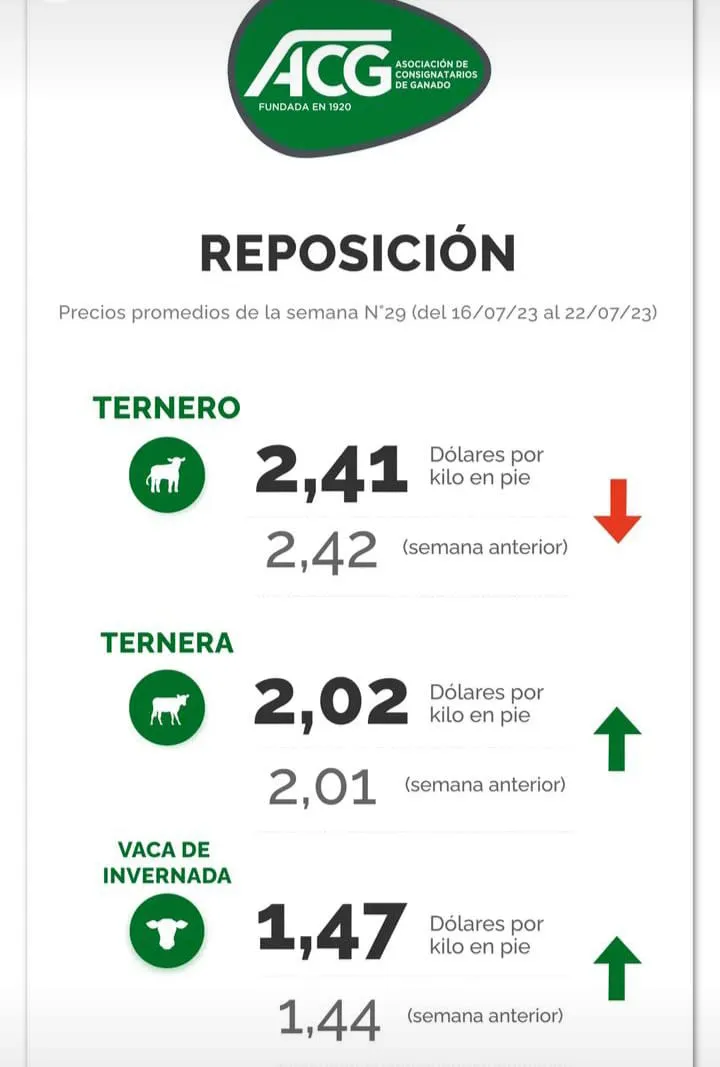 WhatsApp Image 2023-07-24 at 22.52.08 (3)