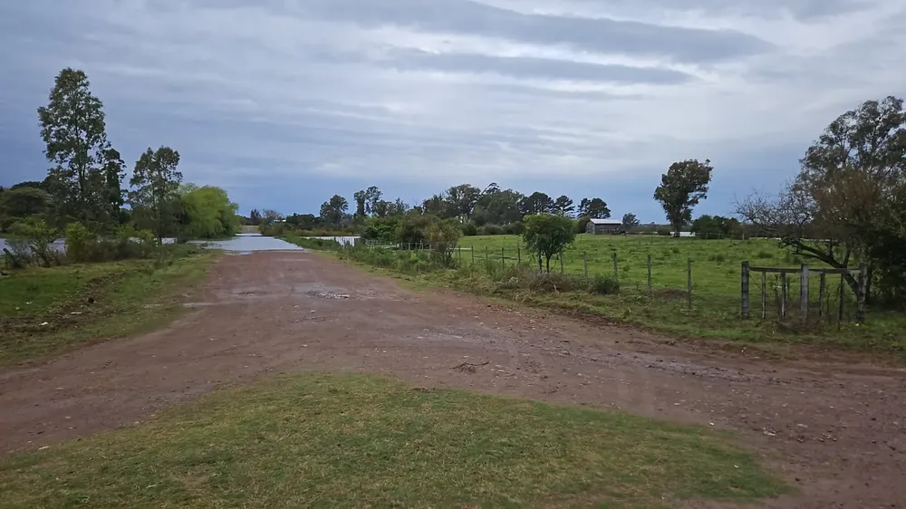 382504374_282840307846896_4545678523415605103_n