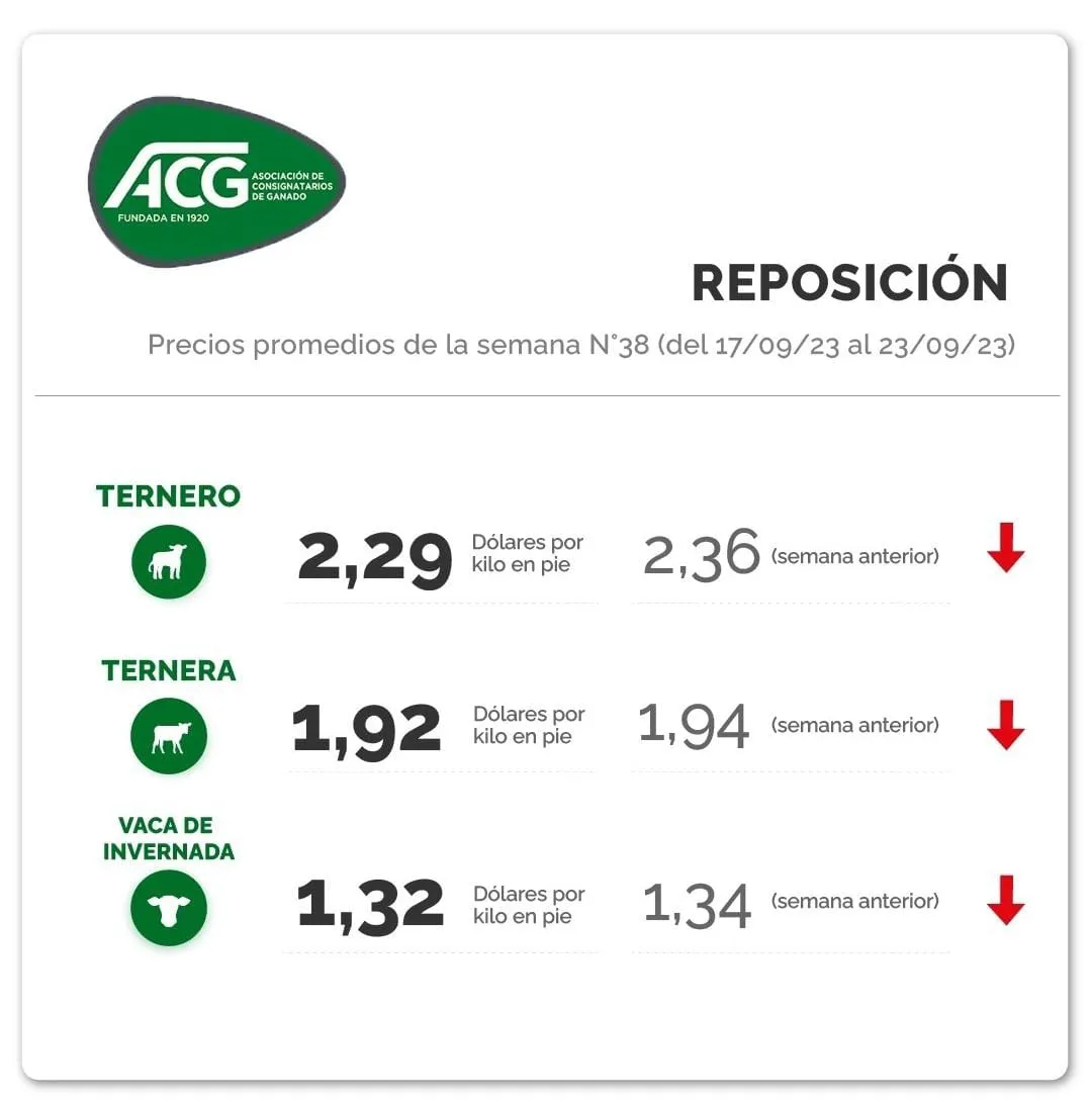 WhatsApp Image 2023-09-26 at 09.13.44