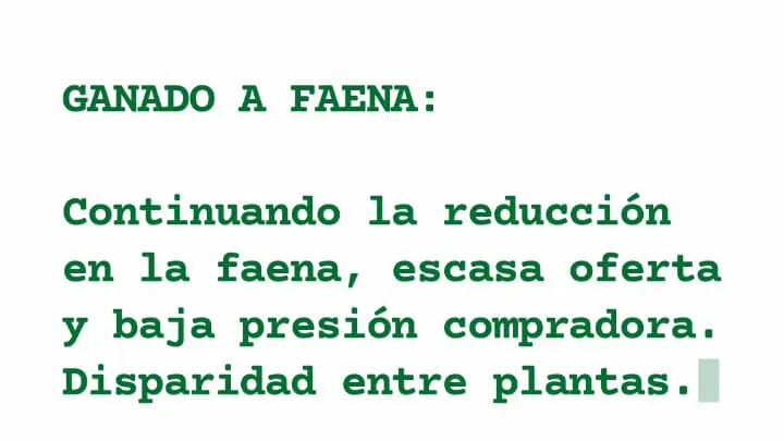 WhatsApp Image 2023-06-06 at 17.14.00