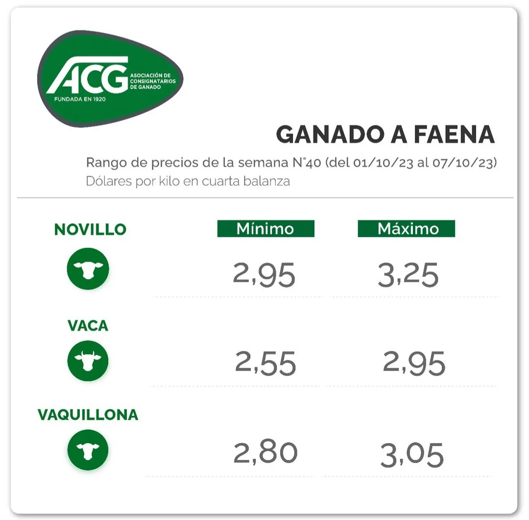 Screenshot_20231010_111902_Instagram