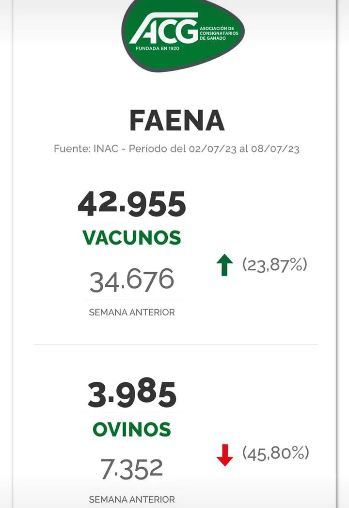 WhatsApp Image 2023-07-11 at 07.42.32 (3)