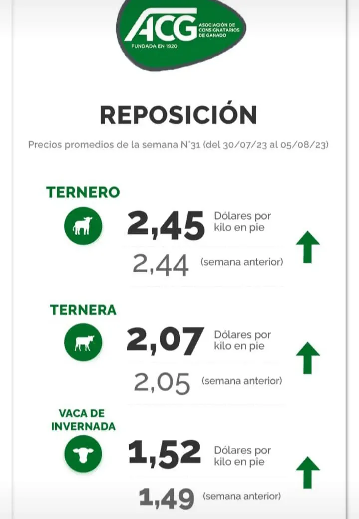 WhatsApp Image 2023-08-08 at 10.20.58