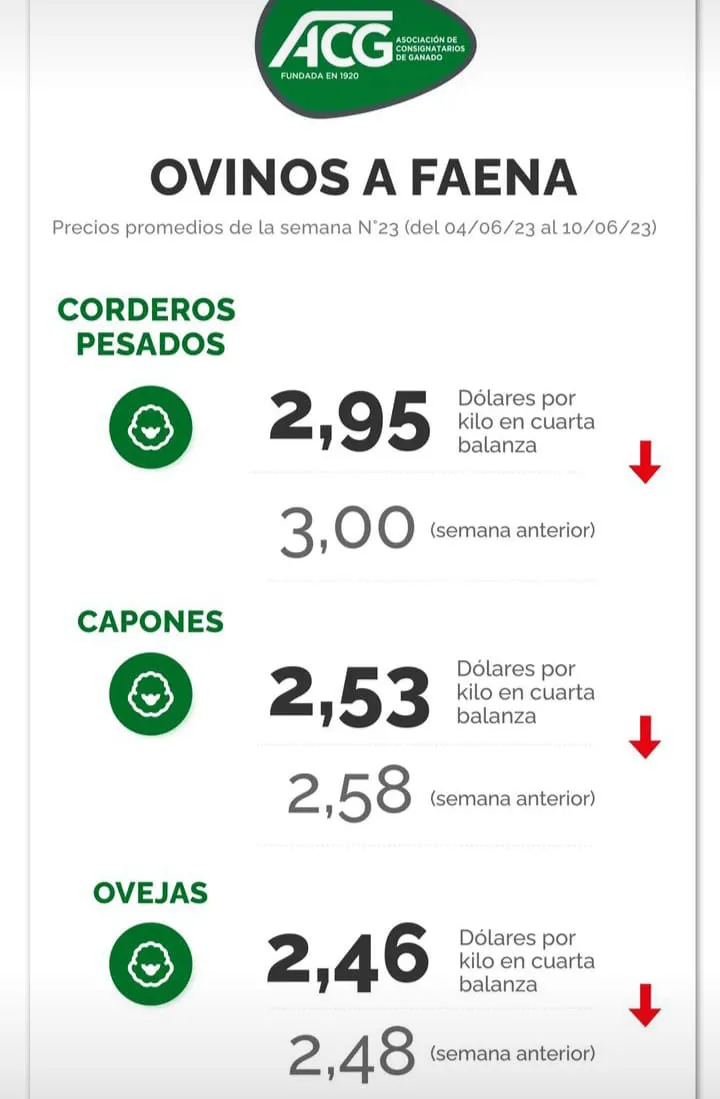 WhatsApp Image 2023-06-13 at 07.42.47