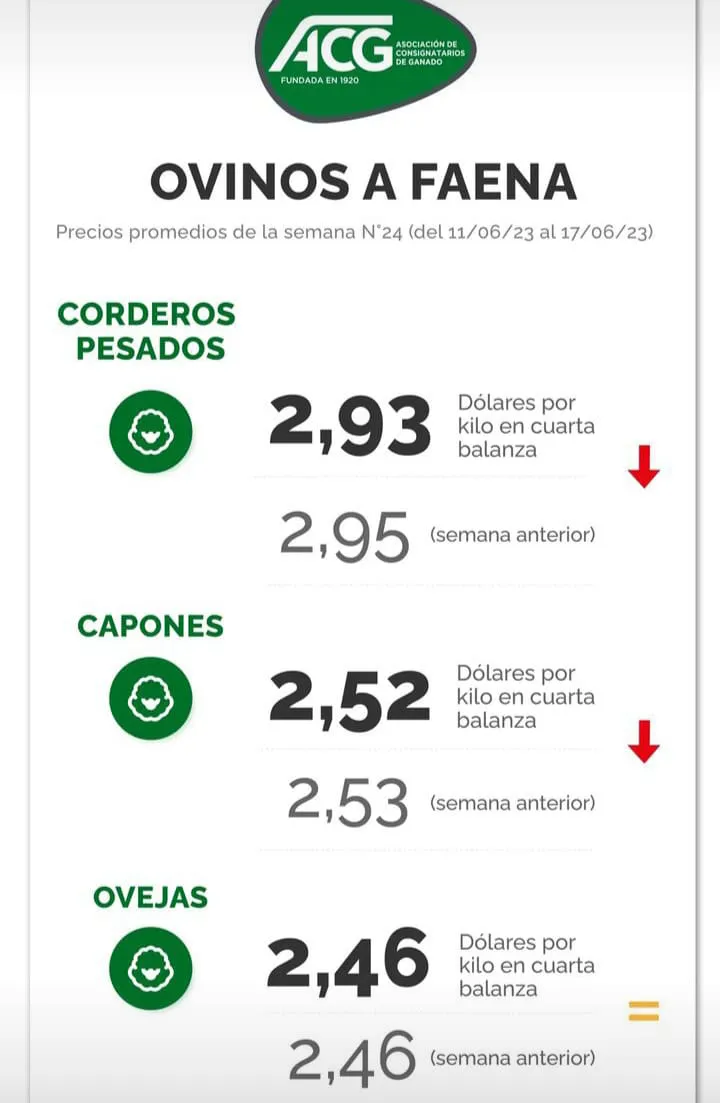 WhatsApp Image 2023-06-20 at 12.45.25 (2)