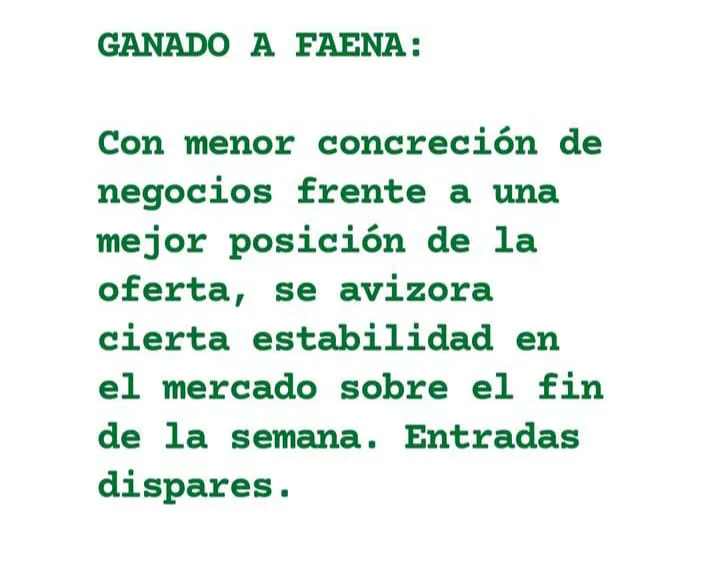 WhatsApp Image 2023-07-11 at 07.42.31 (1)