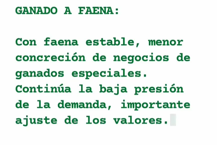 WhatsApp Image 2023-06-27 at 11.41.36 (1)