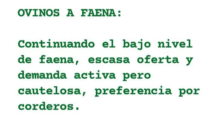 WhatsApp Image 2023-08-08 at 10.20.57 (2)