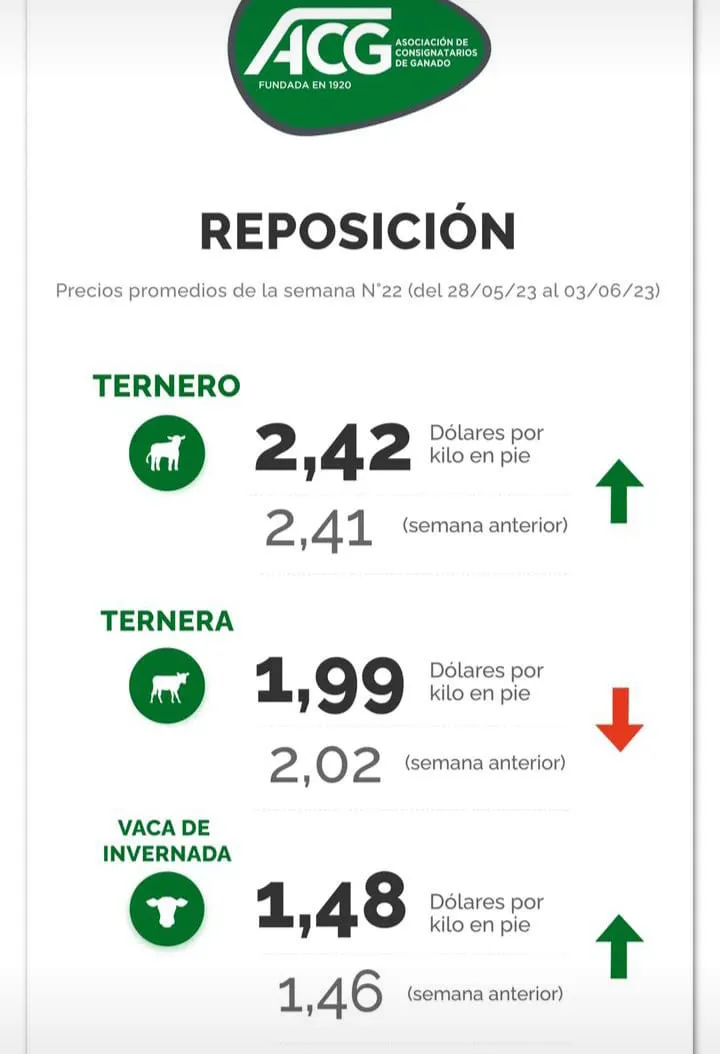 WhatsApp Image 2023-06-06 at 17.14.01