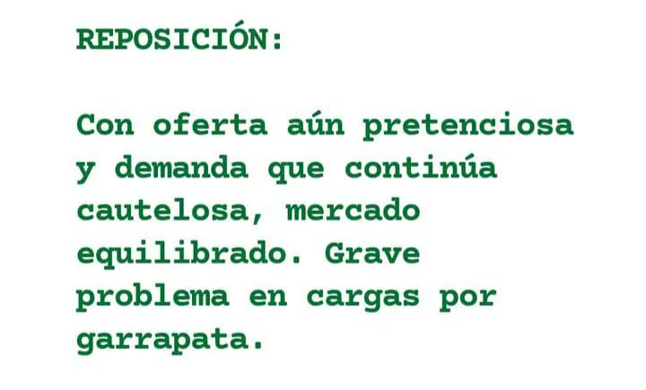 WhatsApp Image 2023-07-11 at 07.42.32 (2)