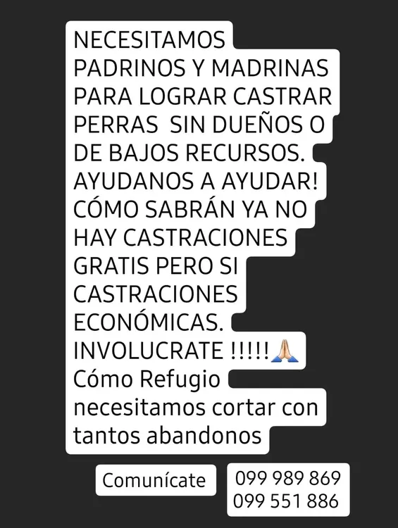 WhatsApp Image 2023-11-22 at 10.48.44