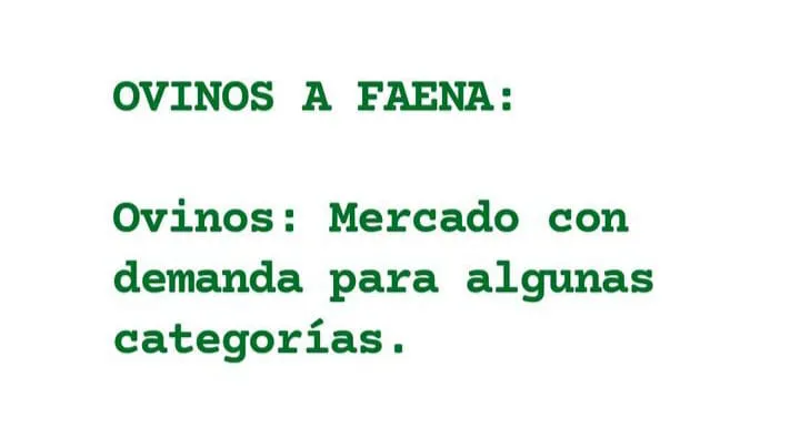 WhatsApp Image 2023-07-11 at 07.42.32