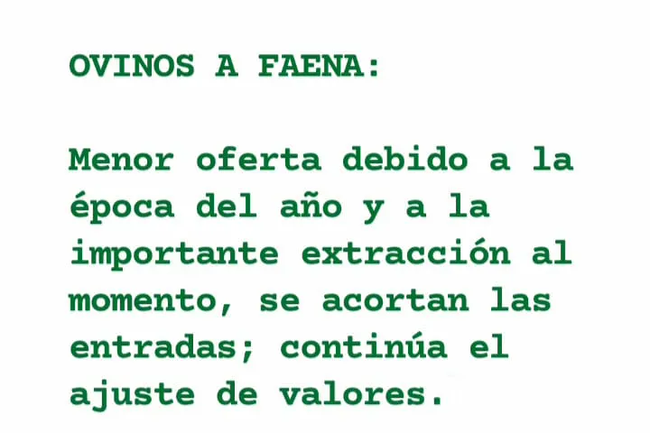 WhatsApp Image 2023-06-27 at 11.41.37 (1)