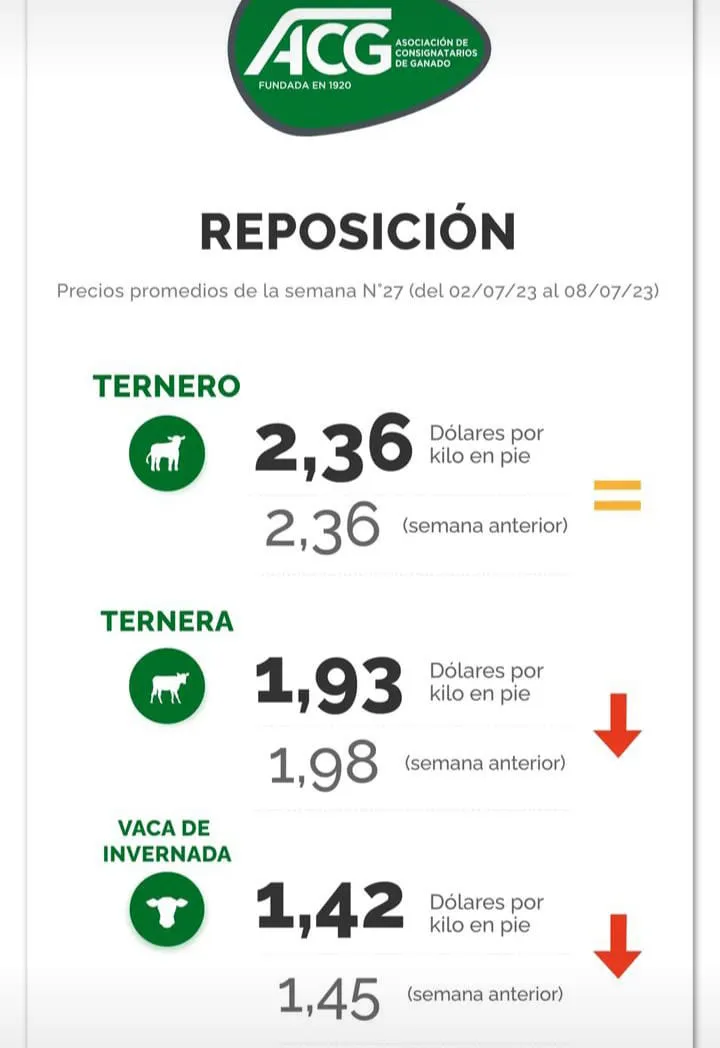 WhatsApp Image 2023-07-11 at 07.42.32 (1)