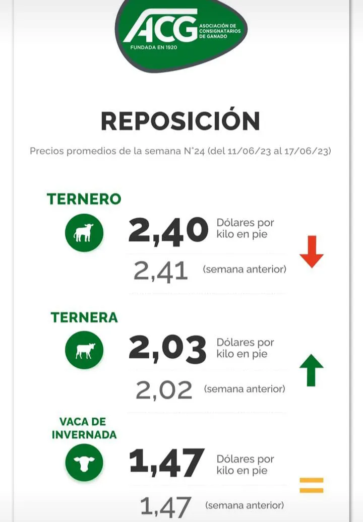 WhatsApp Image 2023-06-20 at 12.45.25 (3)