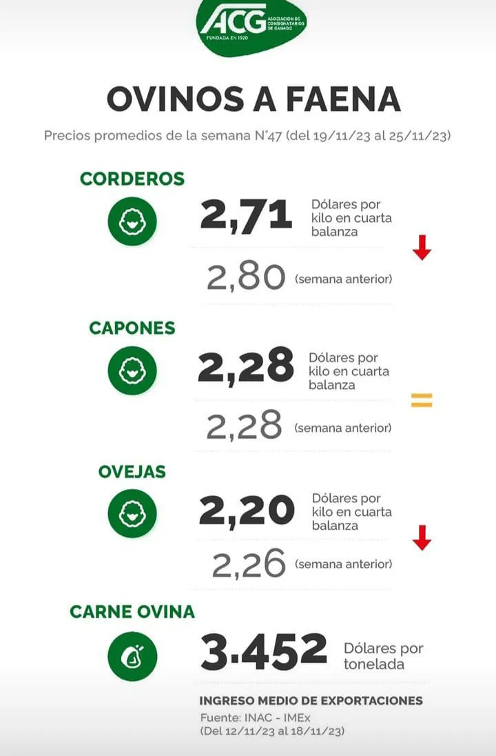 WhatsApp Image 2023-11-27 at 21.30.03