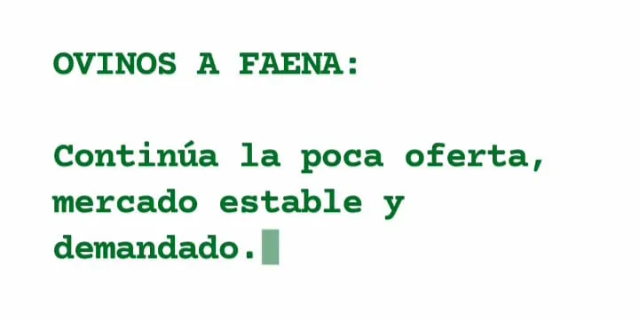 WhatsApp Image 2023-06-06 at 17.14.00 (2)