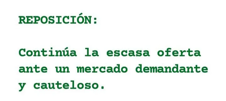 WhatsApp Image 2023-08-08 at 10.20.58 (1)