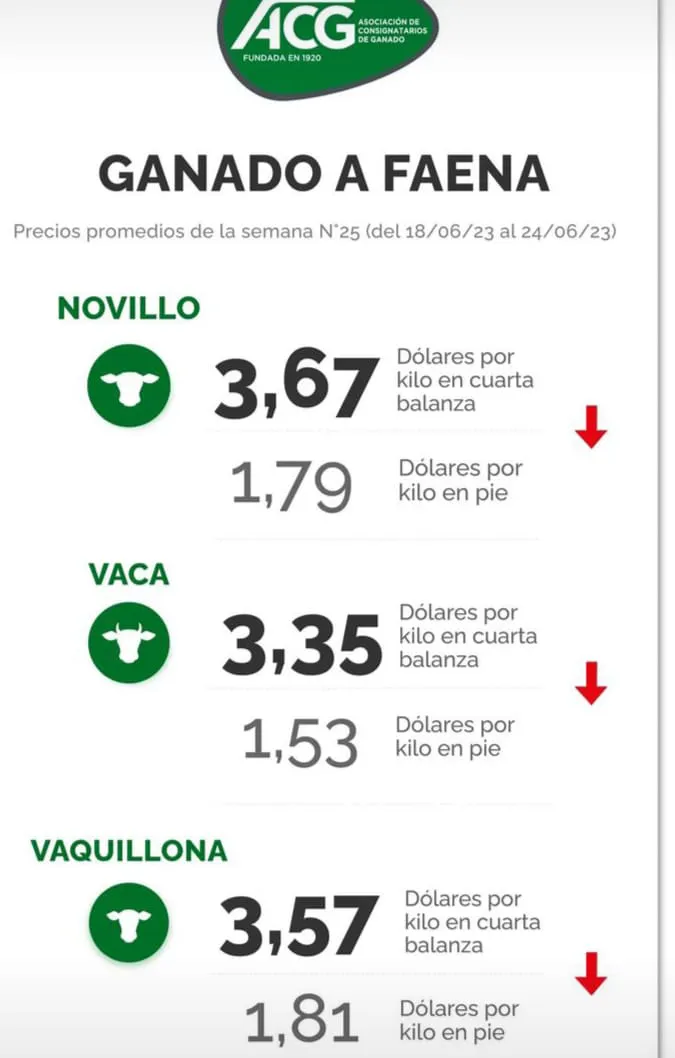 WhatsApp Image 2023-06-27 at 11.41.36