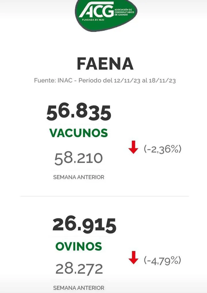 WhatsApp Image 2023-11-21 at 10.39.09