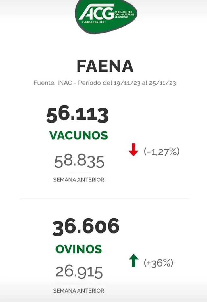 WhatsApp Image 2023-11-27 at 21.30.04 (1)