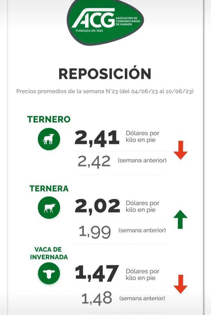 WhatsApp Image 2023-06-13 at 07.42.48