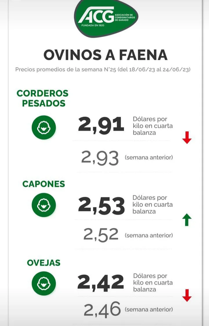 WhatsApp Image 2023-06-27 at 11.41.37