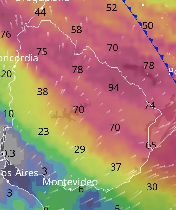 WhatsApp Image 2023-09-07 at 10.00.48