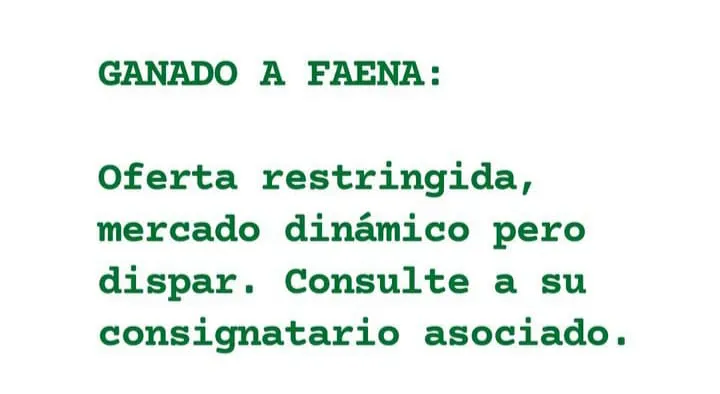 WhatsApp Image 2023-07-24 at 22.52.08 (1)