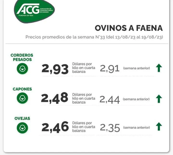 WhatsApp Image 2023-08-22 at 08.44.43