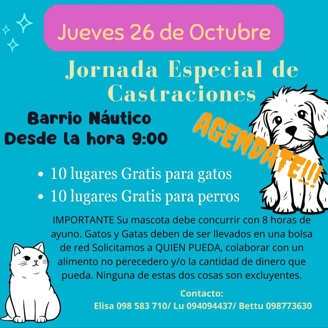 Screenshot_20231020_132710_WhatsApp